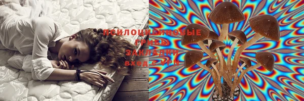 прущие крисы Абинск