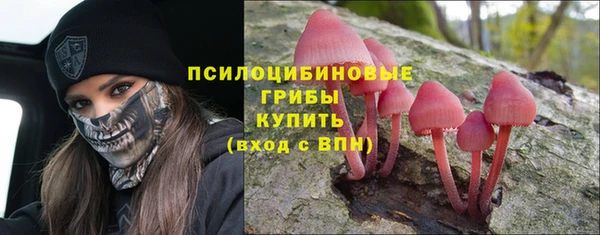 mix Алексин